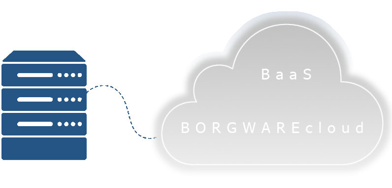 Backup as a Service (BaaS) von BORGWARE