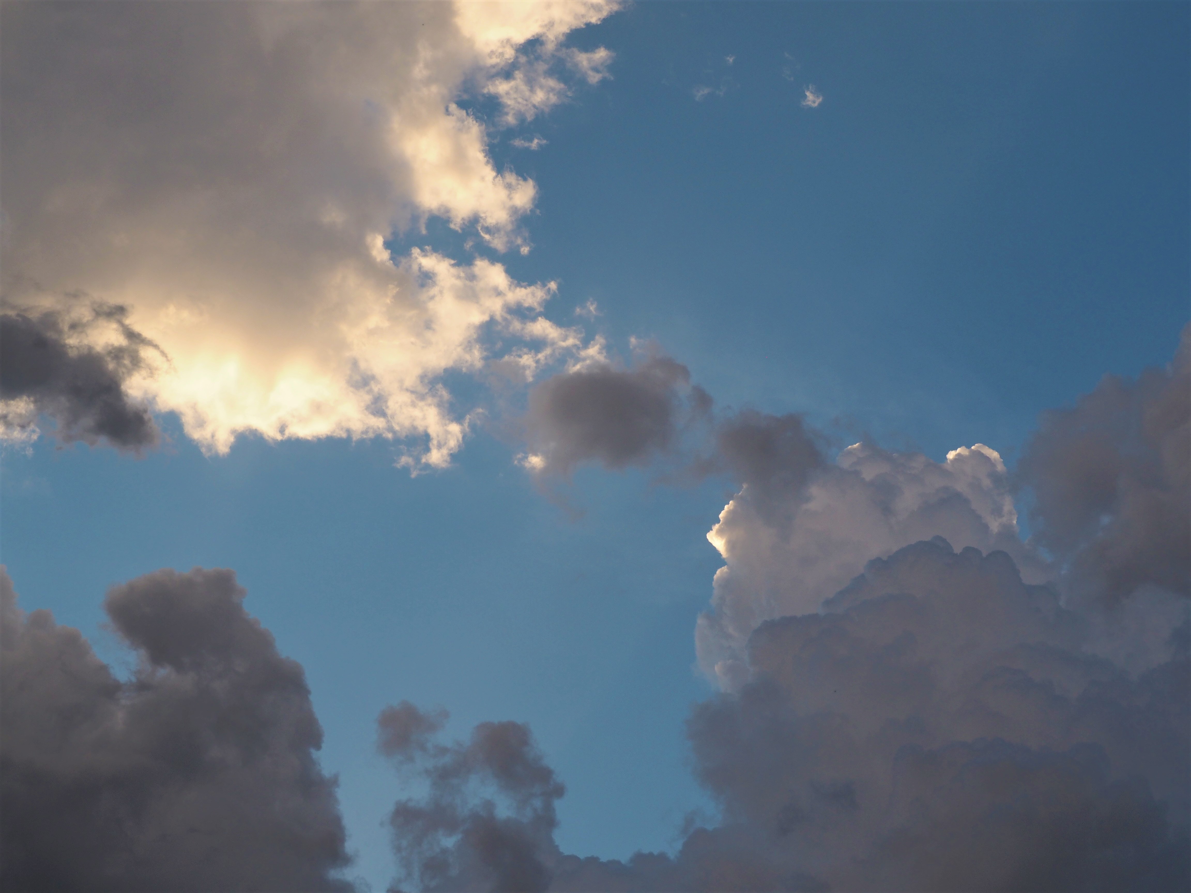 IONOS_Cloud _BORGWARE